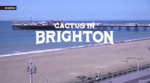 brighton english