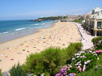 Free language courses Biarritz